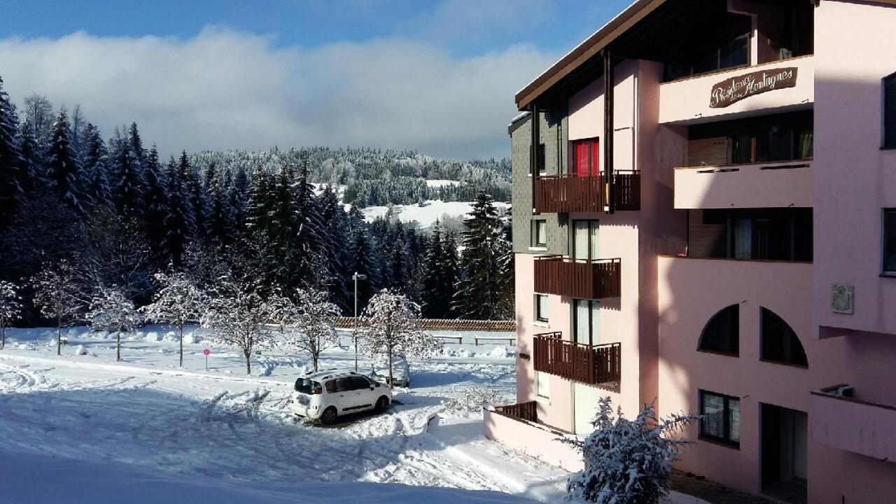 Appartement dernier étage au pied des pistes HIRMENTAZ Bellevaux Exterior foto